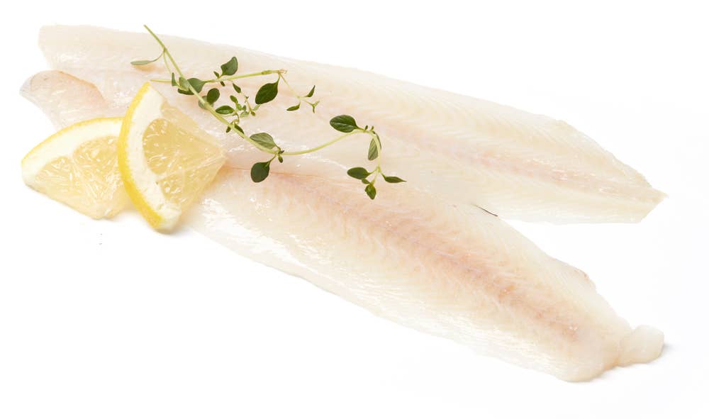 Domstein Smørflyndrefilet Villfisk