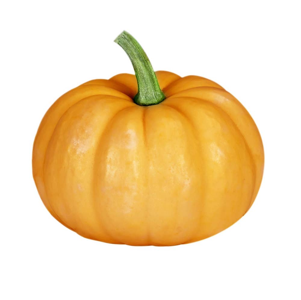 Små Gresskar Vår laveste pris