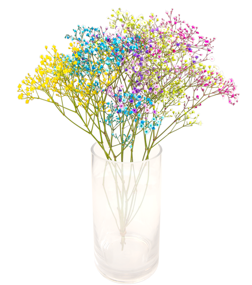 FreshFlowers Candy Floss 50cm