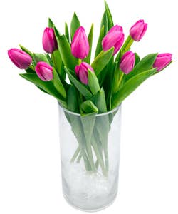 FreshFlowers Tulipaner Rosa