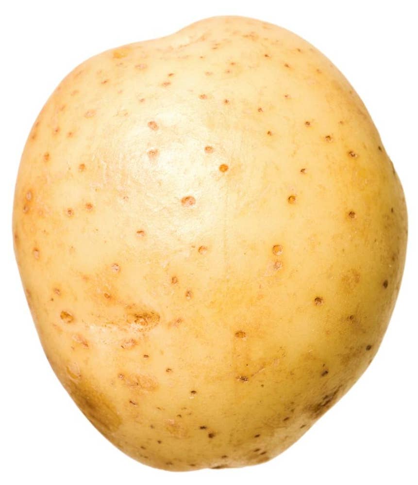 Bakepotet Frankrike/ England