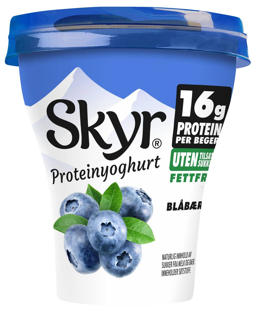 Q Skyr blåbær og vanilje