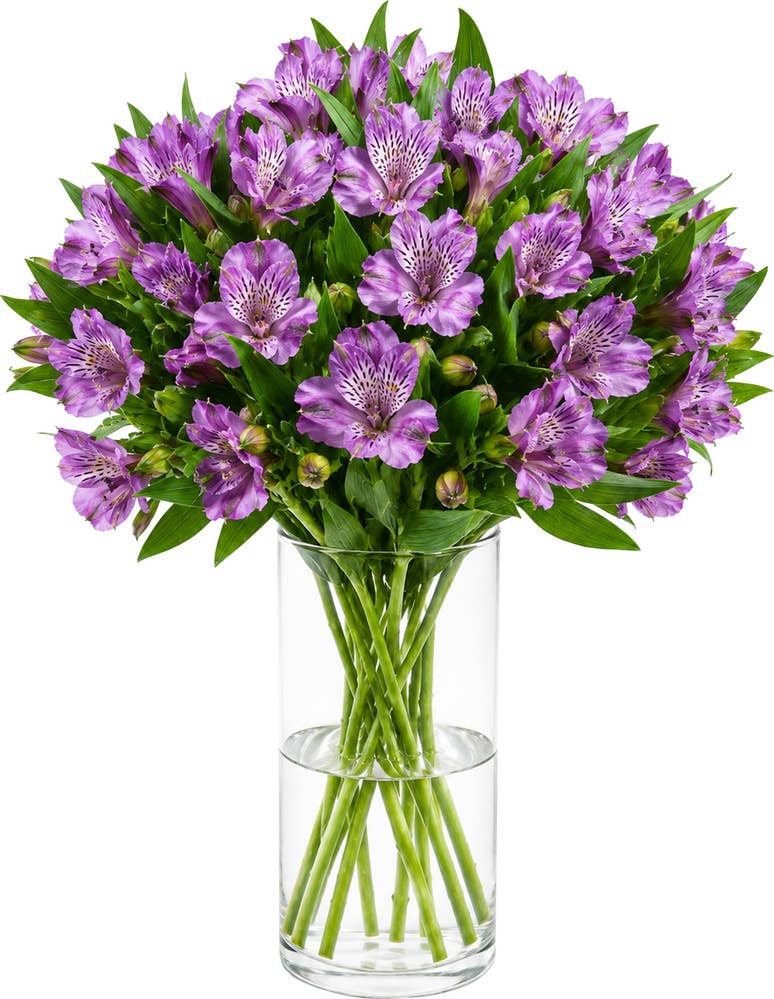 MIMEA Inkalilje lilla 45cm
