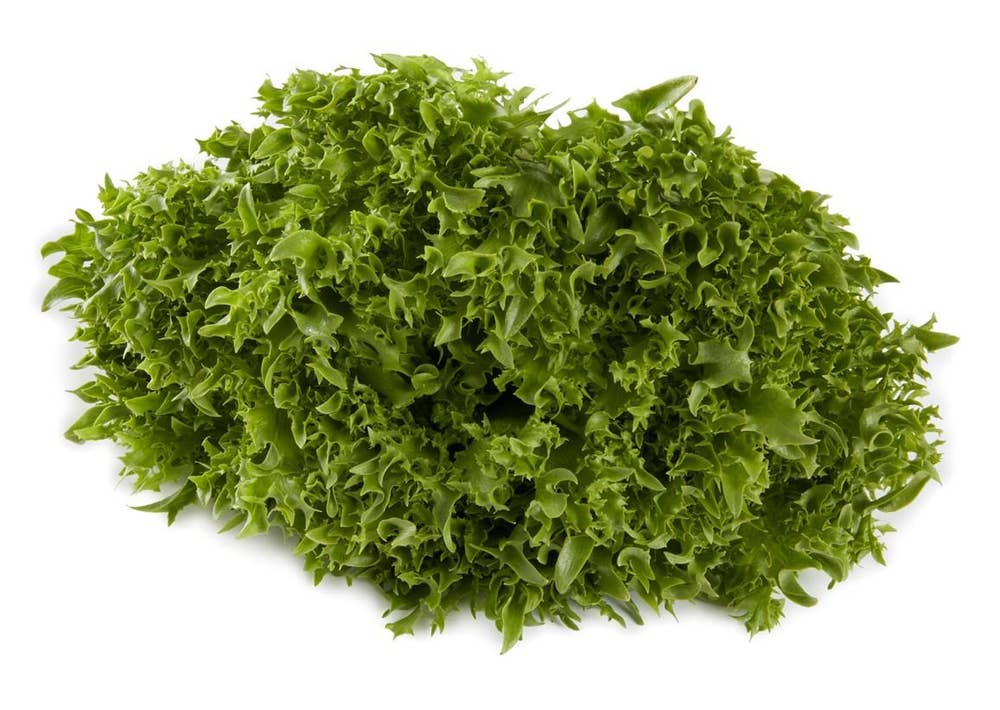 Økologisk Crispisalat Norge