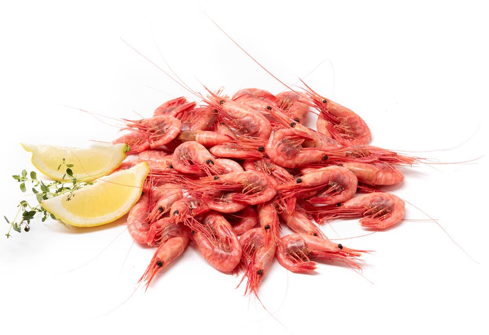 Domstein Ferske Reker