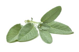 Fersk Salvie i Pose, Etiopia/ Kenya