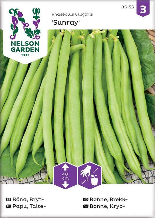 Nelson Garden Brekkbønne 'Sunray' Frø