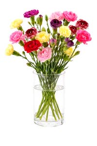 FreshFlowers Grennellik fargemix Ca 30 blomster og 8 stilker