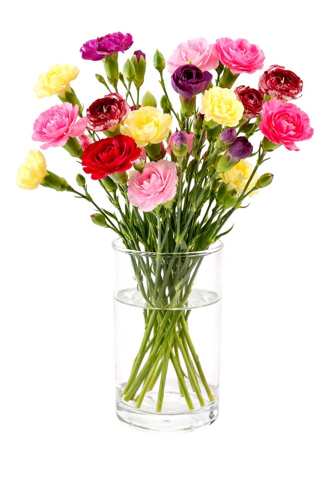 FreshFlowers Grennellik fargemix Ca 30 blomster og 8 stilker