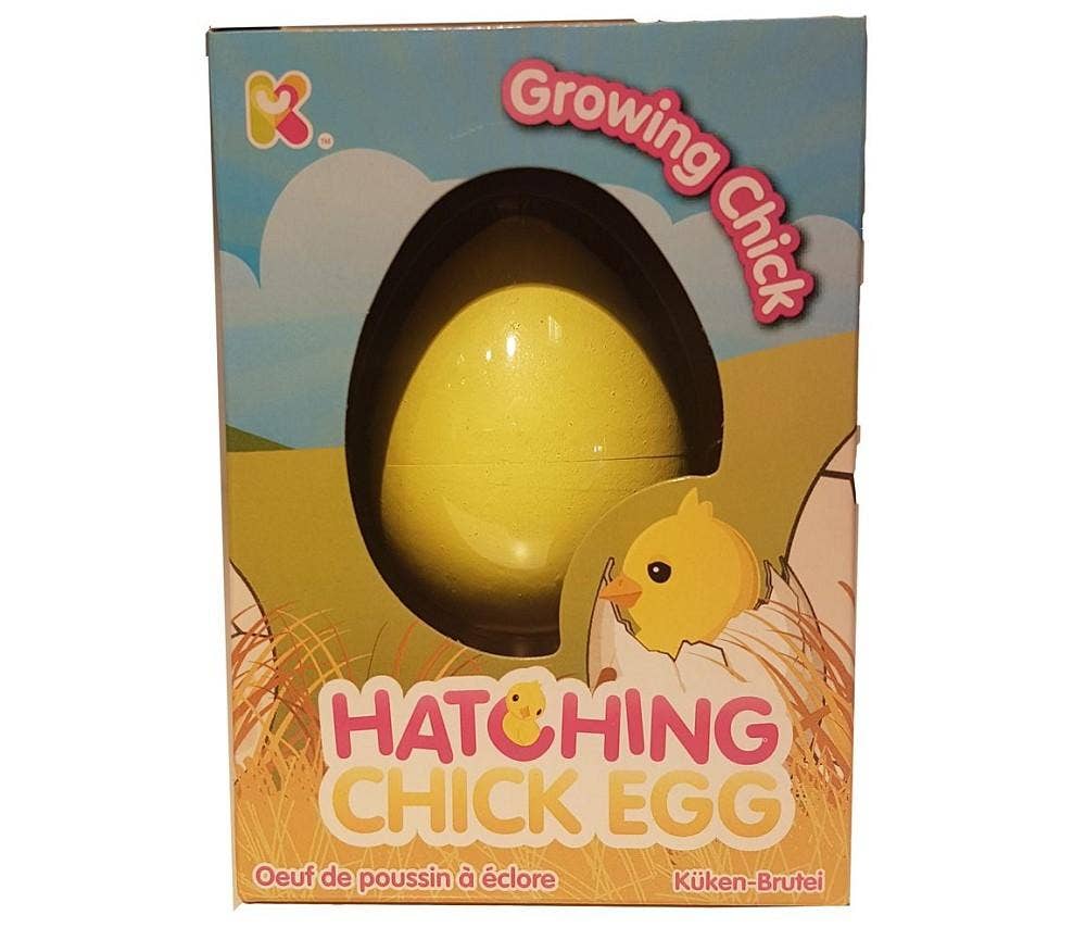 Sprell Magisk kyllingegg som klekkes i vann