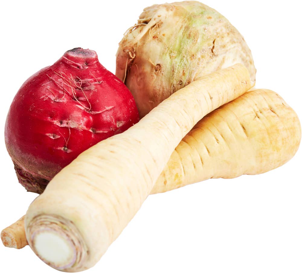 Rotmiks Beter, Sellerirot & Pastinakk, Nederland