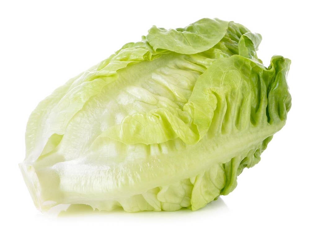 Hørte Gård Økologisk hjertesalat Norge