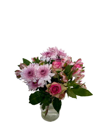 Botanik Botaniks DIY Bunt