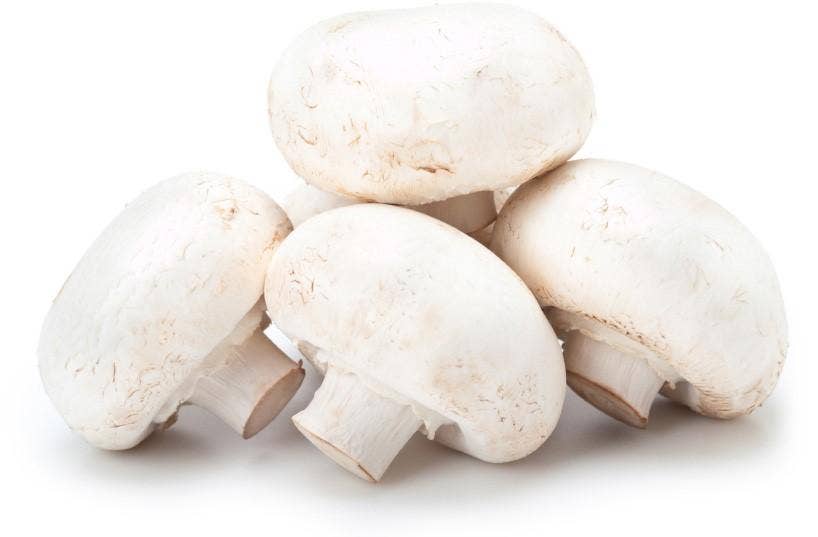 Små Champignon Kurv, Polen