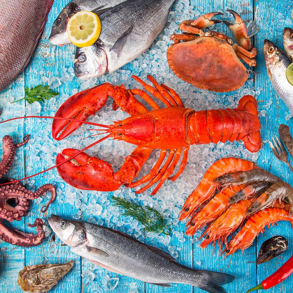 Duni Servietter Seafood 3 lag, 33x33cm