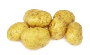 Økologiske Poteter Vasket Colomba Anouk , Norge