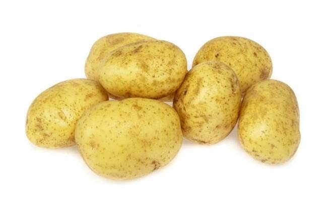 Økologiske Poteter Vasket Colomba Anouk , Norge