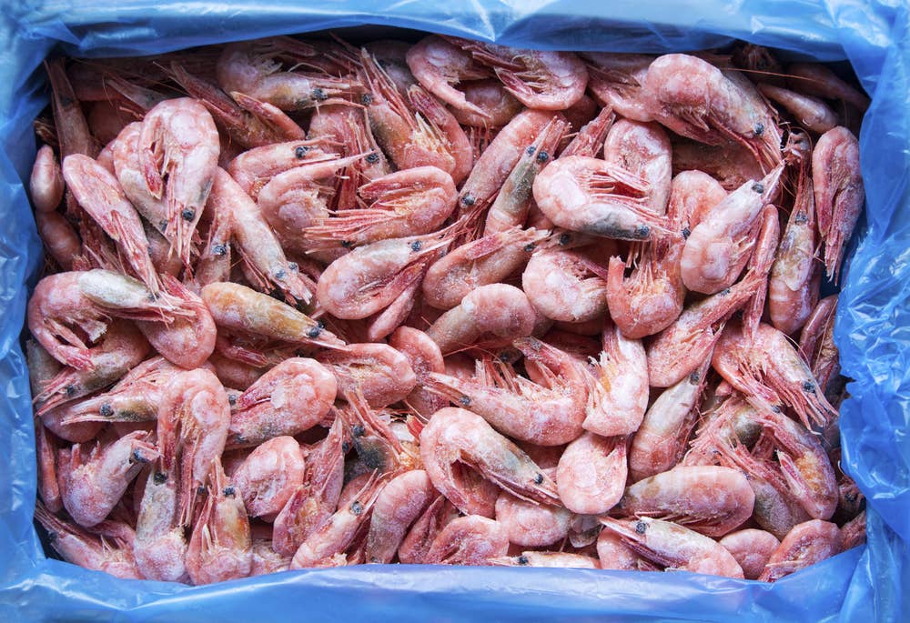 Greenland Prawn Store Frosne Reker Str 70/90