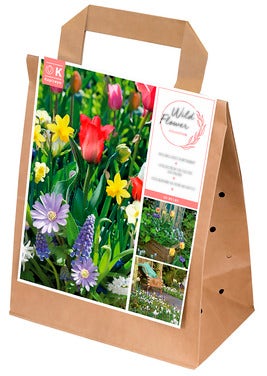 FreshFlowers Blomsterløk Vårblomster 40 Løk