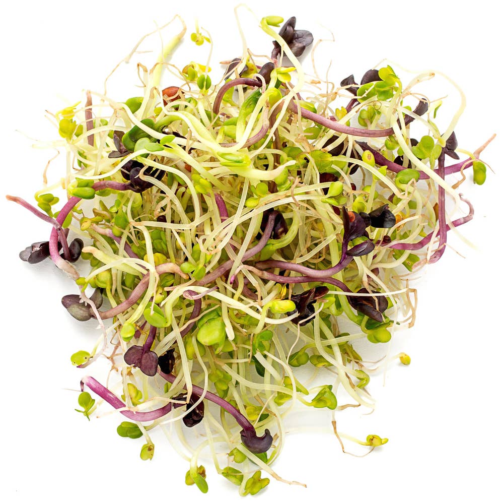 Økologiske Taco spiremix -Brokolli, Kløver, Mungbønner Norge