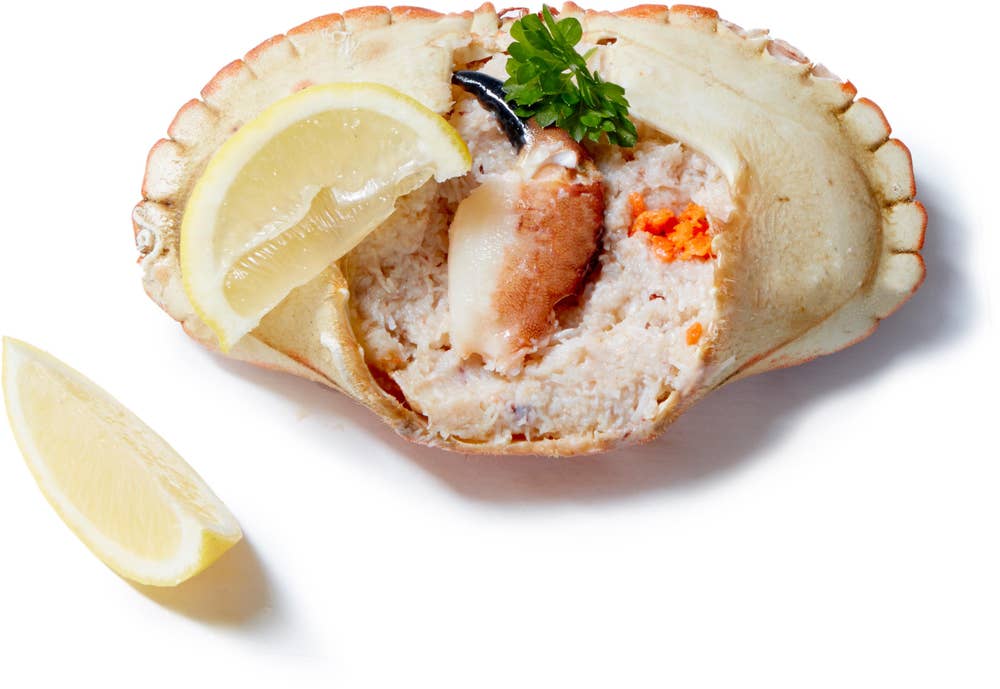 Domstein Fylte Krabbeskjell