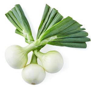 Fersk Gul løk i Bunt 500 g, Norge