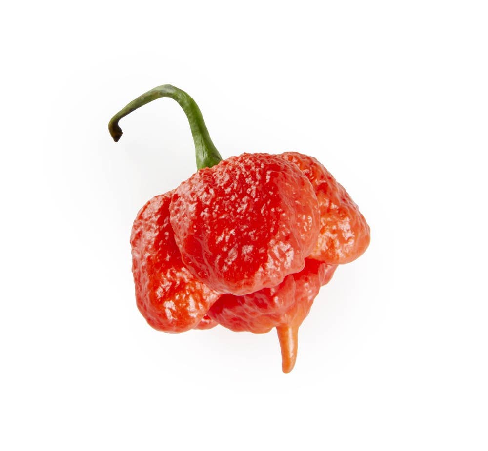 Carolina Reaper Norge