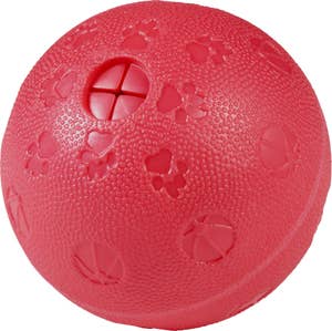 Pictura Gruppen Norge Hundeleke aktivitetsball