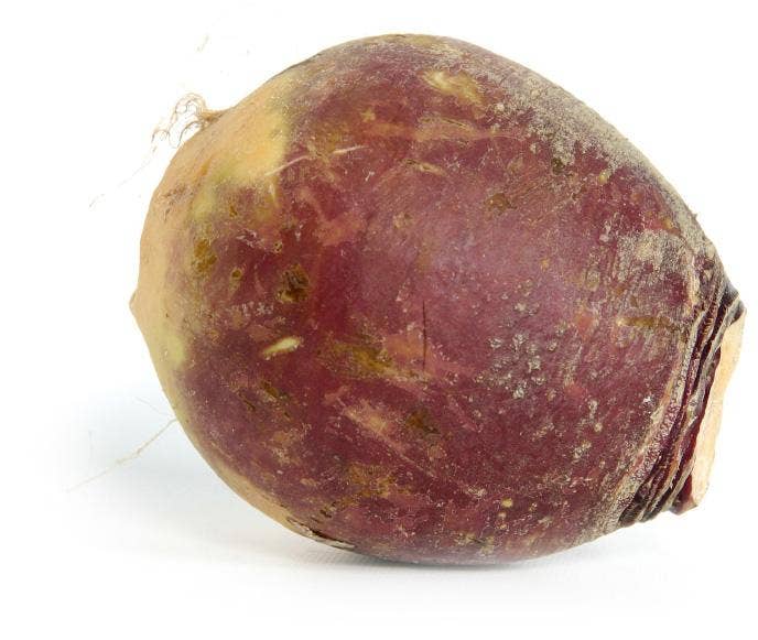 Økologisk Kålrot Norge