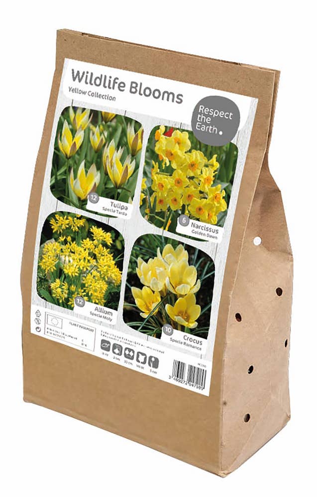 MIMEA Pollinatorvennlig Løkblomster Yellow Collections 40 stk løk