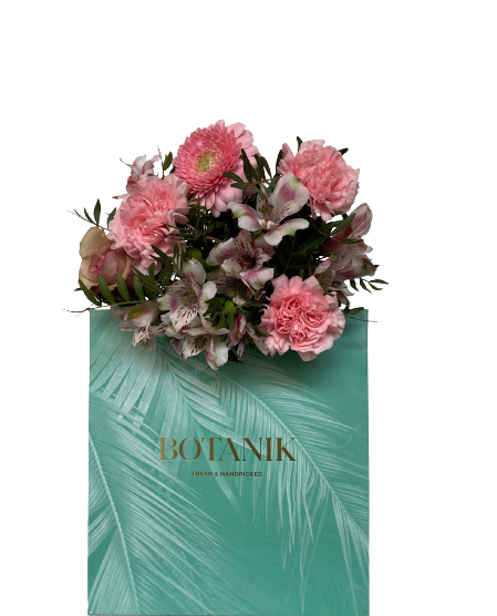 Botanik Botaniks Prinsessebukett