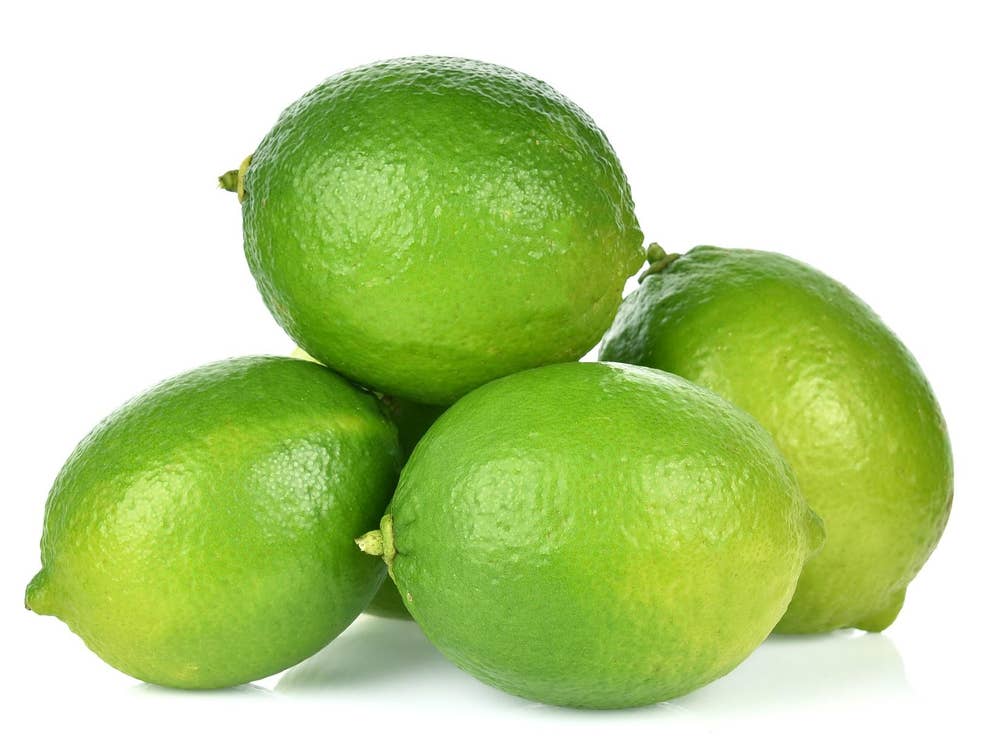 Små Lime Vår Laveste pris Brasil / Mexico