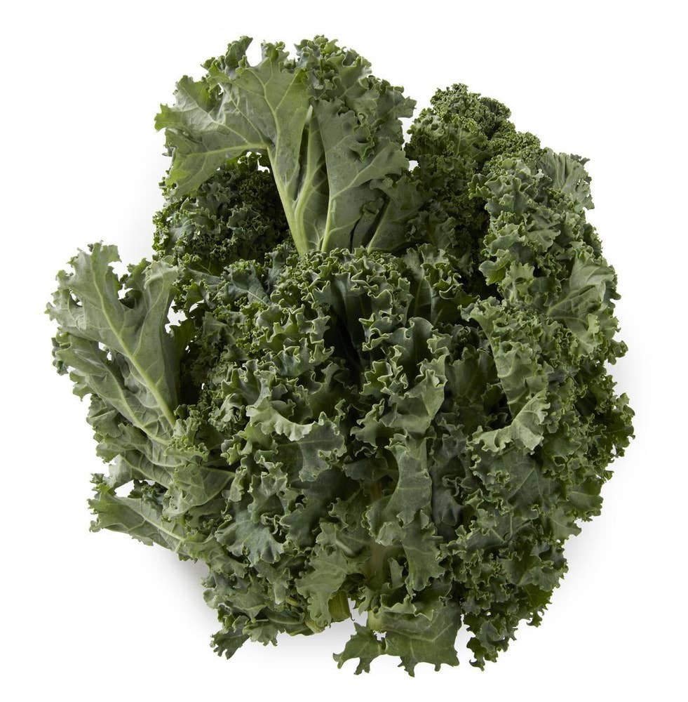 Økologisk Grønnkål Norge