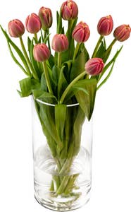 FreshFlowers Tulipaner Rosa