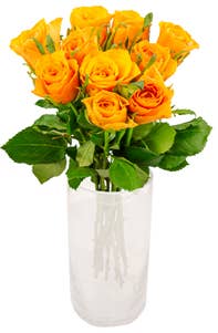 MIMEA Roser oransje 50cm