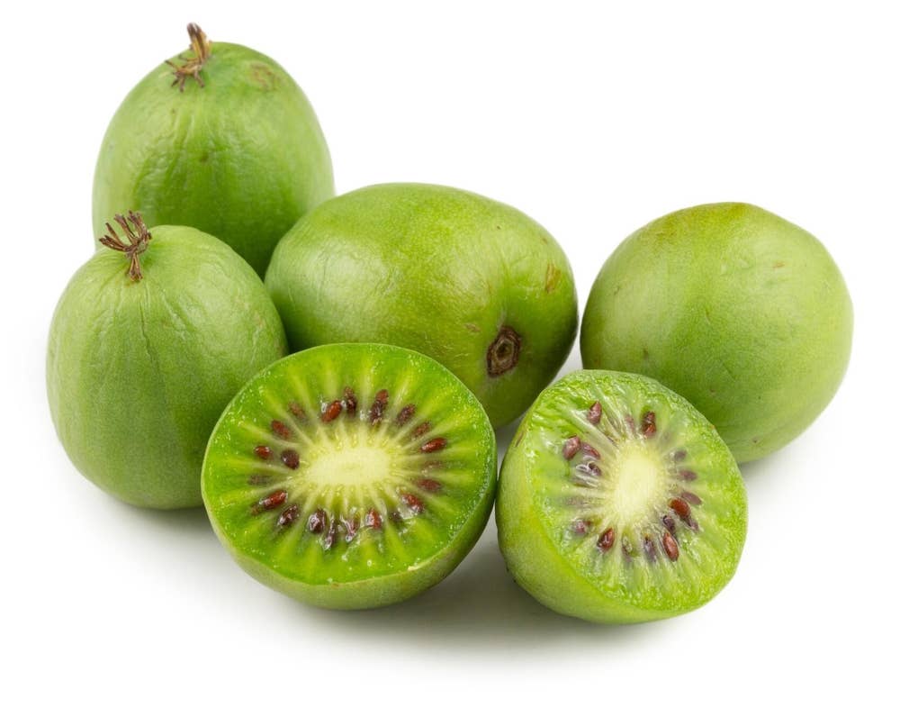 Kiwibær i Kurv, Portugal/ Frankrike