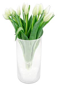FreshFlowers Tulipaner Hvit