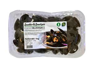 Levende Blåskjell