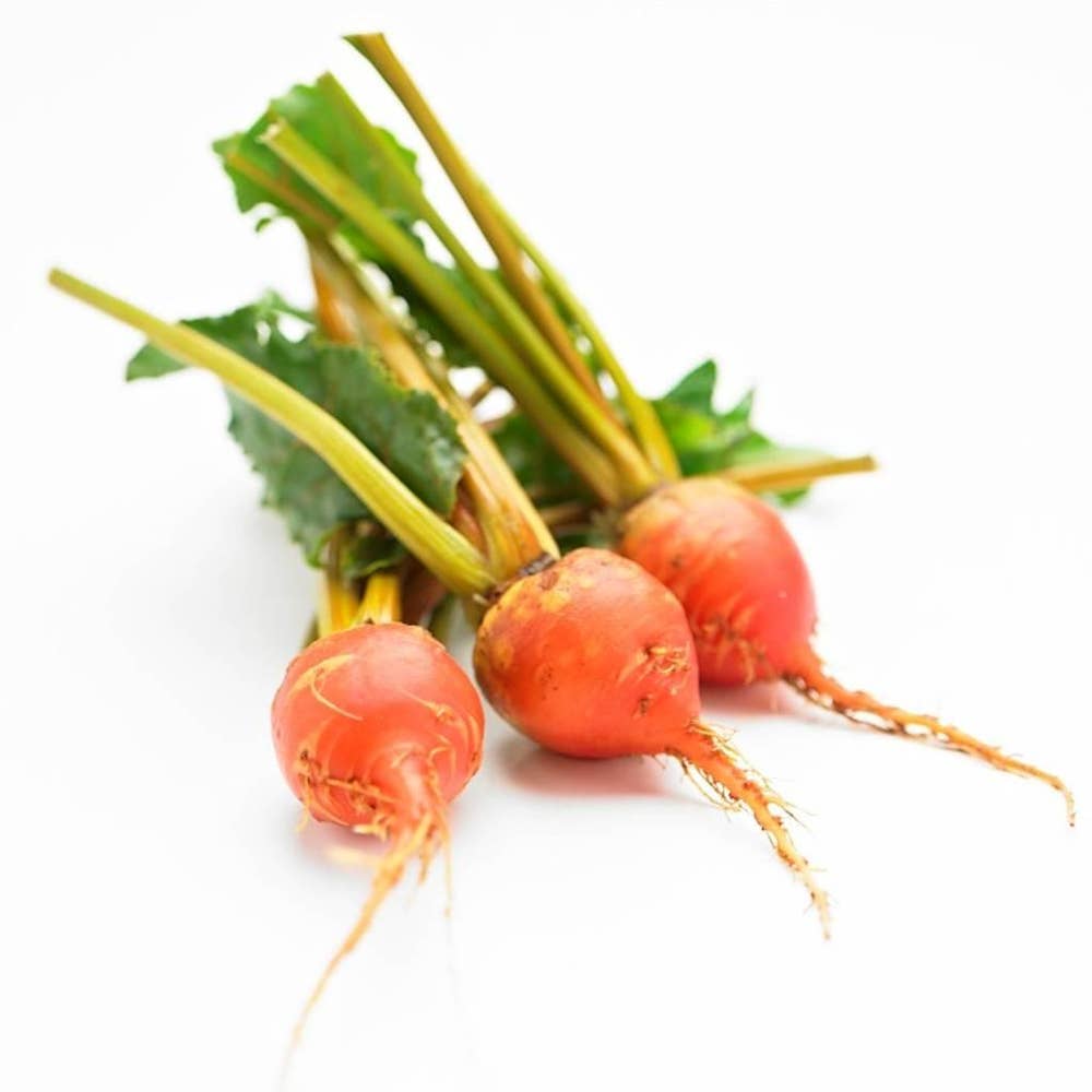 Ferske Gule Beter Nederland