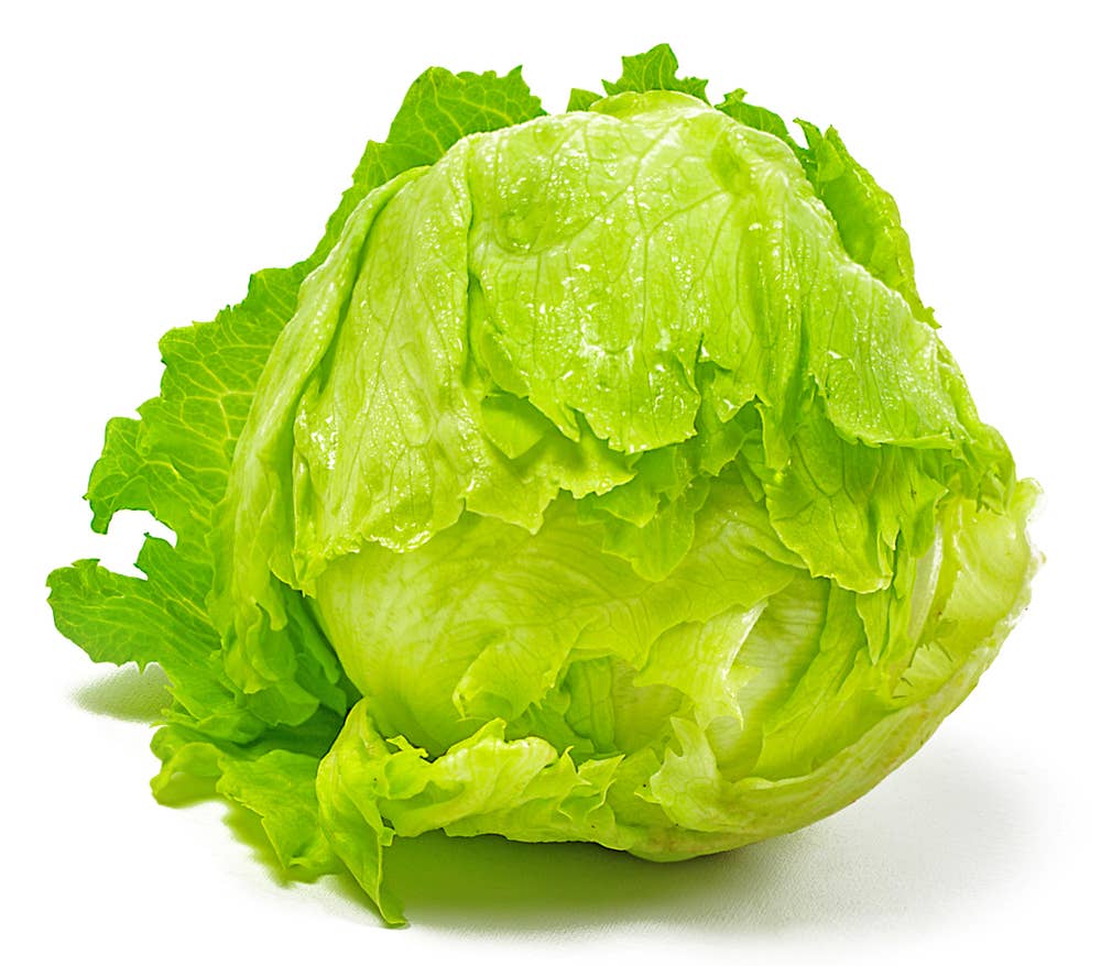 Stor isbergsalat Norge