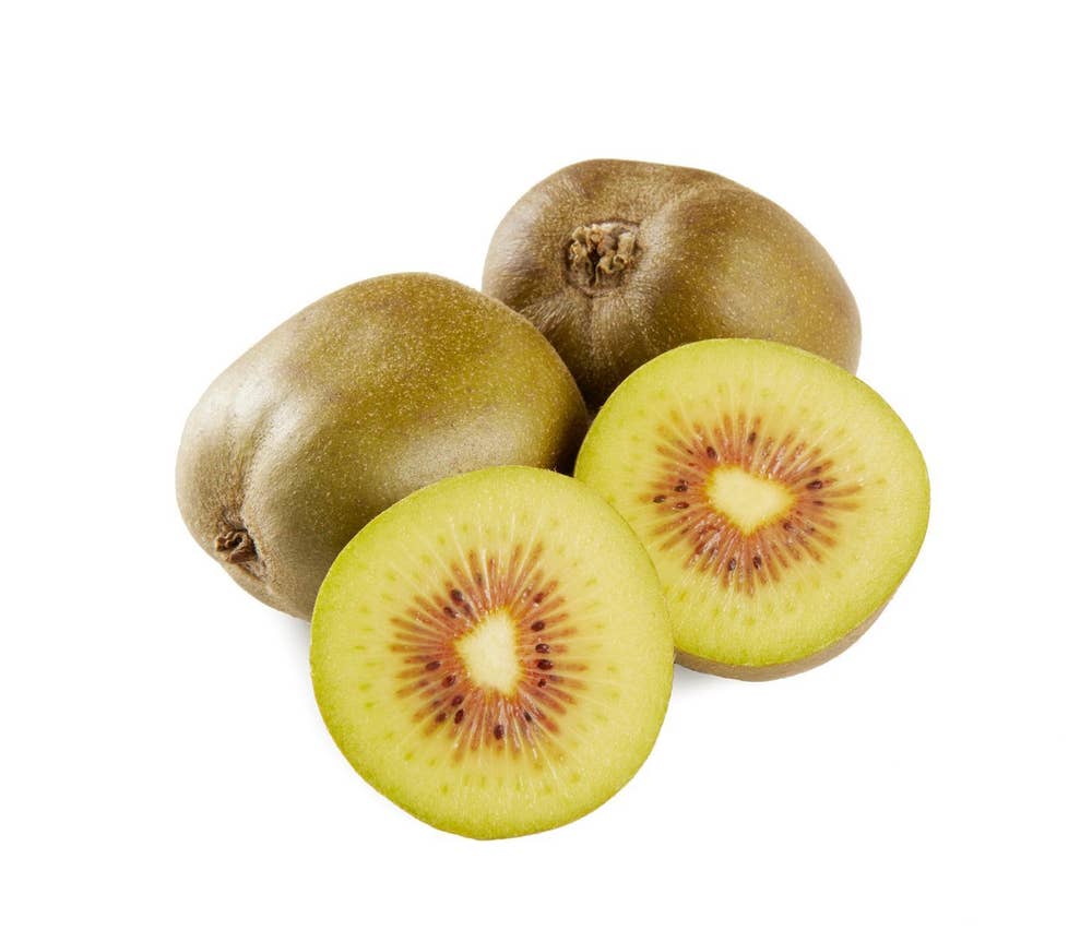 Rød kiwi