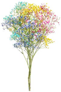 FreshFlowers Candy Floss 50cm