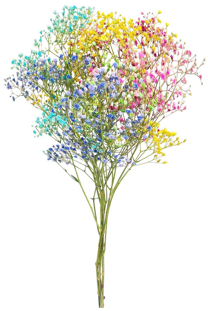 FreshFlowers Candy Floss 50cm