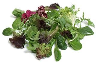 Babyleaf Salatblanding Italia / Spania, 100 g