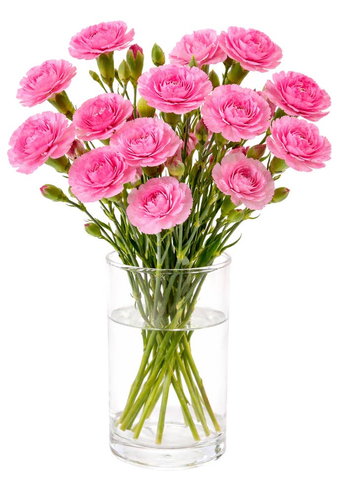 MIMEA Rosa grennellik. 8 stilker