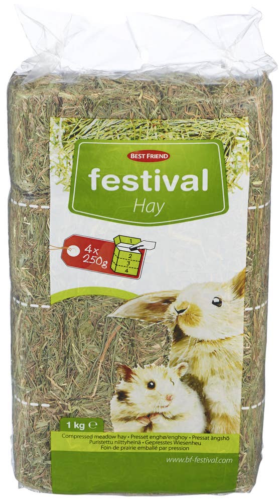 Best Friend Festival kompakt høy