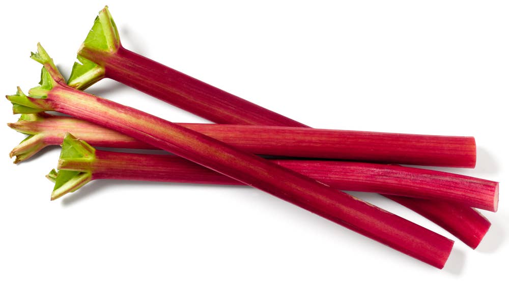 Fersk Rabarbra Norge