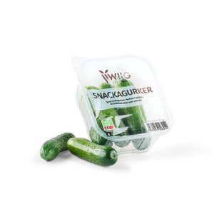 Wiig Gartneri Miniagurk Spania