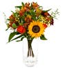 Blomster og planter