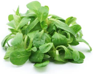 Huseby Gaard Feldsalat Italia